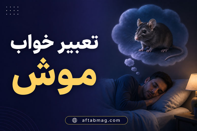 تعبیر خواب موش | معنی دیدن موش در خواب از نظر معبران مختلف