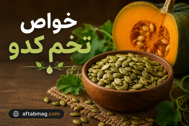 خواص تخم کدو | فواید شگفت‌انگیز تخم کدو برای سلامت بدن و تقویت سیستم ایمنی