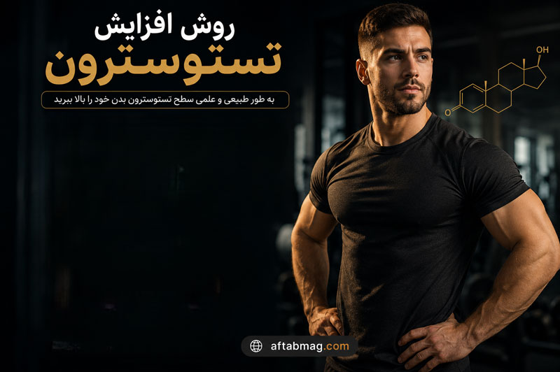 روش افزایش تستوسترون | بهترین راهکارهای طبیعی برای افزایش هورمون تستوسترون