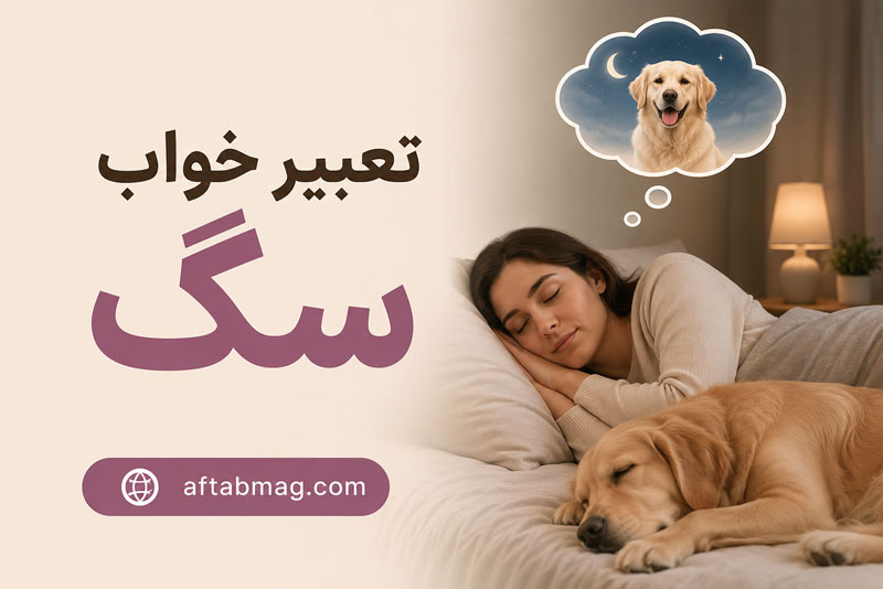تعبیر خواب سگ 🐶 معنی دیدن سگ در خواب از نظر معبران مختلف