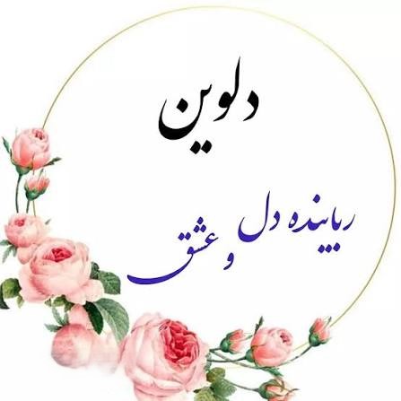 معنی دقیق «دلوین» در فارسی چیست؟