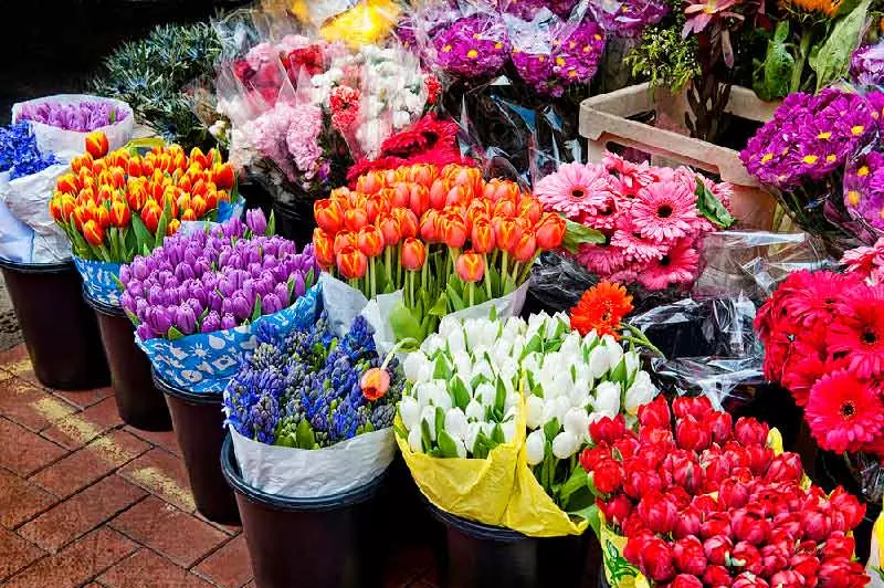 آینده شغل گل‌فروشی