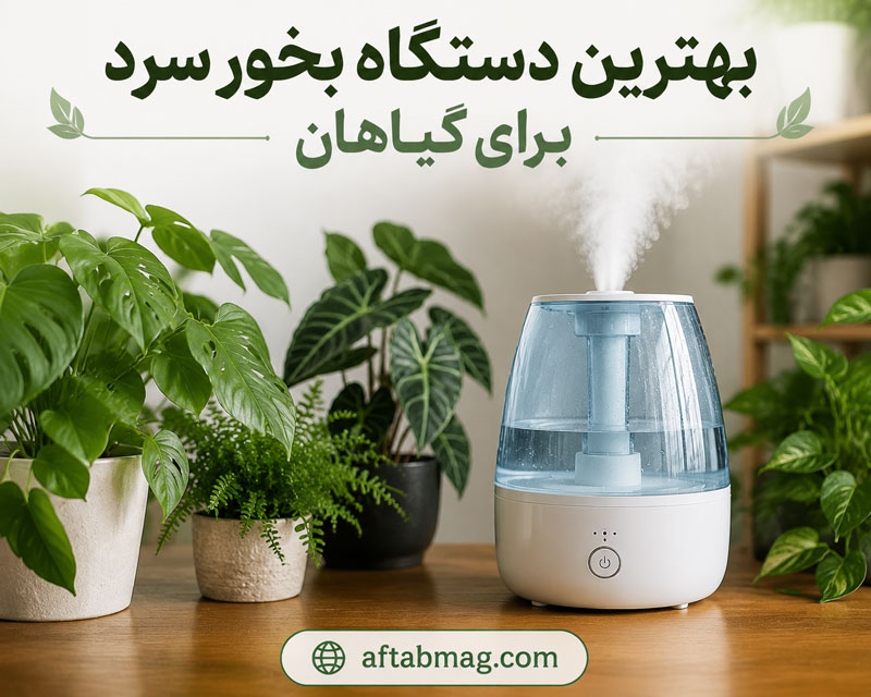 بهترین دستگاه بخور سرد برای گیاهان (راهنمای خرید دستگاه رطوبت‌ساز مناسب گل و گیاه)