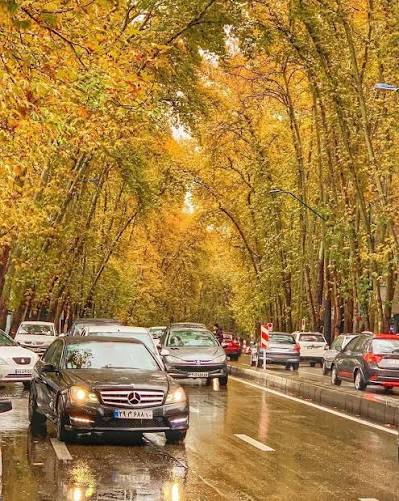 خیابان ولیعصر؛ پیاده‌روی زیر نور چراغ‌ها