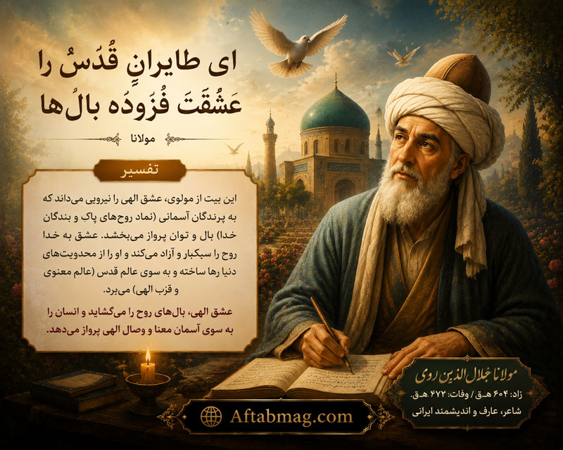 شعر ای طایِرانِ قُدْسْ را عشقَت فُزوده بال‌ها مولانا + تفسیر