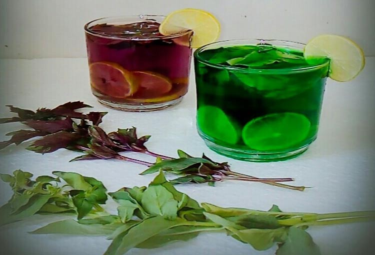 شربت ریحان
