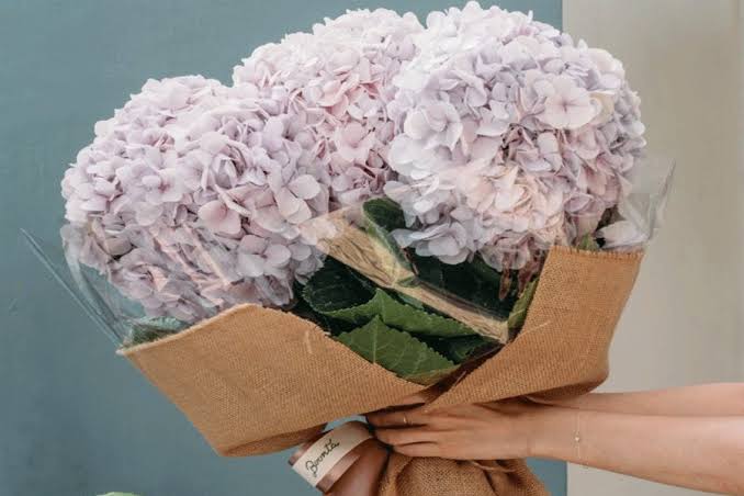 سال سی‌ام: سوسن (Lily) – نماد فروتنی و تعهد