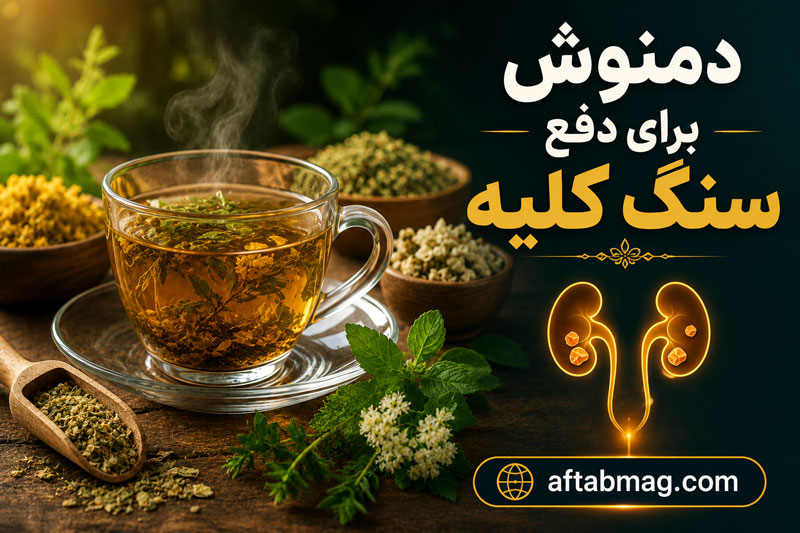 دمنوش برای دفع سنگ کلیه | آیا دمنوش‌های گیاهی به دفع سنگ کمک می‌کنند؟