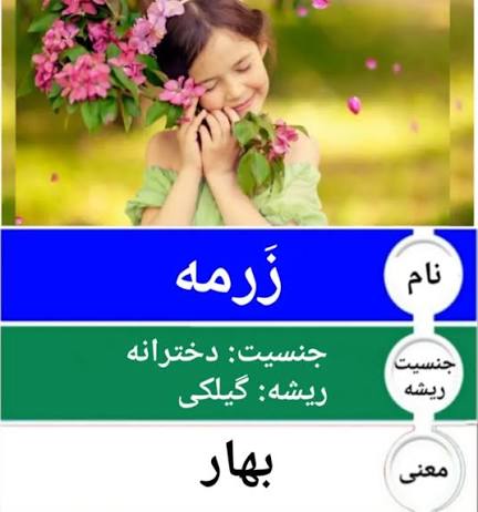 معنی دقیق «زویا» در فارسی چیست؟