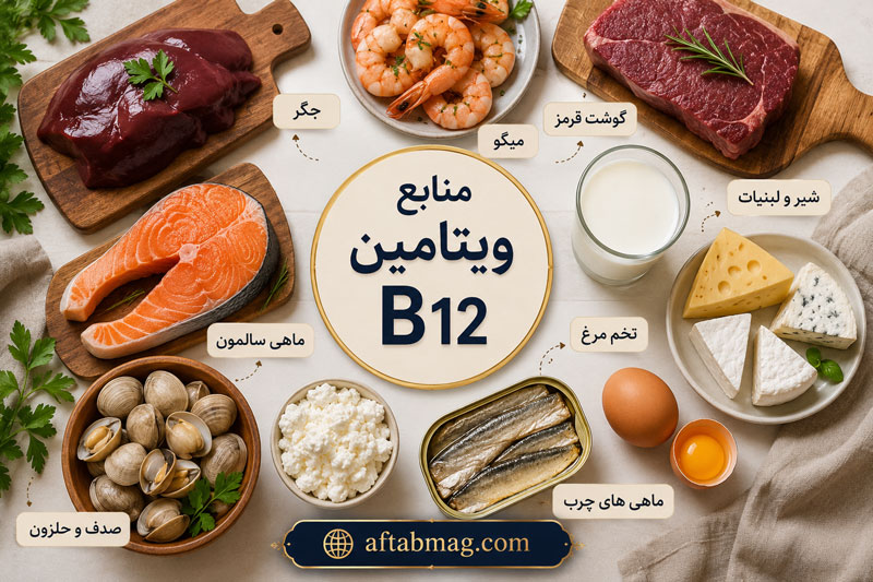 منابع ویتامین B12؛ بهترین مواد غذایی B12 و میزان نیاز روزانه