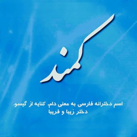 تفاوت معنی لغوی و ادبی کمند