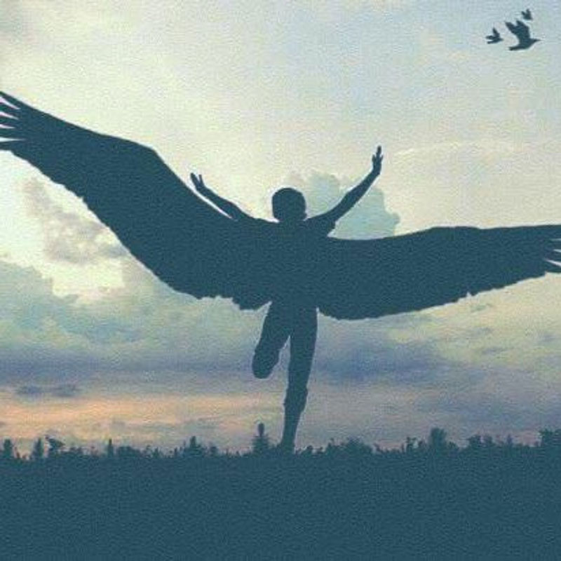 پرواز، درمانی برای روح خسته